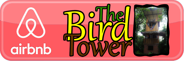 Airbnb: The Bird Tower